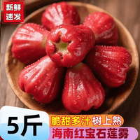 海南 正宗海南红宝石莲雾新鲜当季新鲜水果现摘清甜黑孕妇金刚整箱包邮 1斤 约5-13个 | 脆甜爆汁