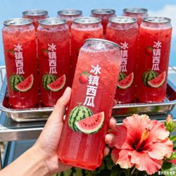 无品牌 西瓜汁饮品 610ML*10瓶