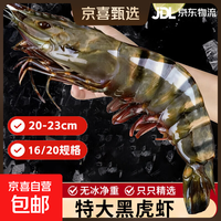 超大黑虎虾 1000g/盒 斑节虾 鲜活生冻 特大黑虎虾 老虎虾 海虾 生鲜虾类 巨型黑虎虾 8-10只/斤 4斤