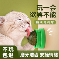 皇恒赛级 猫薄荷球猫玩具自嗨解闷清洁磨牙棒逗猫神器耐咬猫咪用品