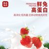 妮吖 全价主食猫用奶糕 兔兔红草莓口味 250g*2盒