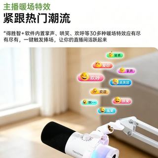 得胜 GX5 USB/XLR双接口 黑色 悬臂支架款 电容麦克风