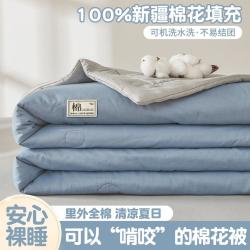 雅鹿 ·自由自在 里外纯棉全棉花被子夏被夏凉被可机洗空调被儿童单人双人薄款被芯