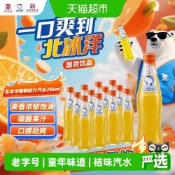北冰洋 玻璃瓶桔汁汽水 248ml*12瓶