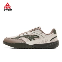 匹克 态极轻云网面德训鞋男
