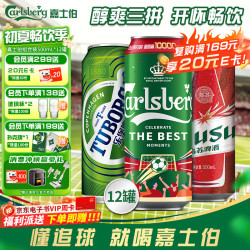嘉士伯 啤酒组合装  整箱装 500mL