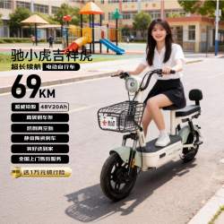 驰小虎 长续航 电动自行车  浅绿 20Ah 48V
