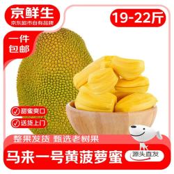 京鲜生 海南黄肉菠萝蜜 19斤/个