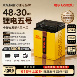 功孚 48V30Ah 锂电池 电动车电瓶