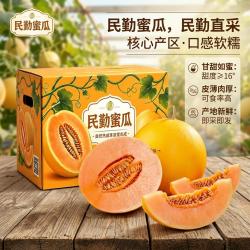 京典光年 甘肃民勤蜜瓜净重5-6斤