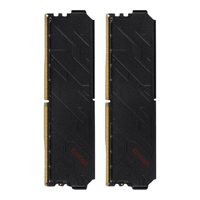 金泰克 台式电脑内存条DDR5 16G/32G 5600/6000海力士颗粒 速虎系列