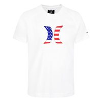 Hurley 男性 防晒衬衫 Upf 50+ 防晒游泳衬衫 圆领 短袖 直筒 WhiteAmericana 尺码5