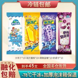 伊利 牧场奶提子雪糕 45支