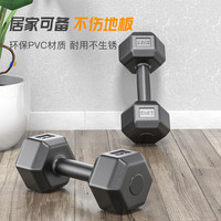 华亚 六角环保包胶哑铃 2.5kg 单只装