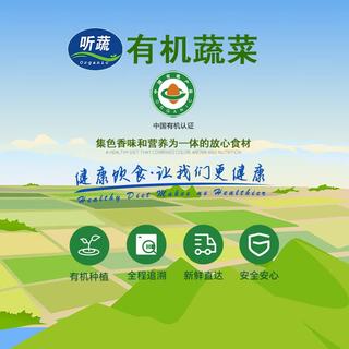 听蔬 有机上海青小油菜 500g