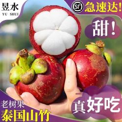 顺丰 泰国进口山竹 3A新鲜水果 批发价