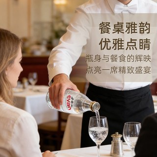 依云 天然矿泉水 330ml*20瓶