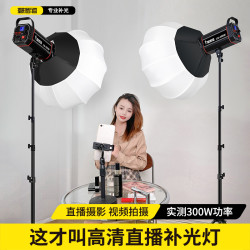 hakutatz LG-300W直播灯搭建补光灯专业主播柔光摄影拍照设备拍摄led深抛灯