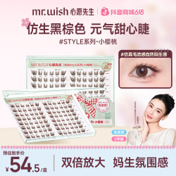 MR.WISH 免胶胶水假睫毛自然款拉长眼尾学生单簇