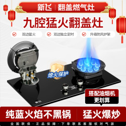 新飞 旗舰店天然气煤气灶双灶家用猛火新款官方正品燃气灶