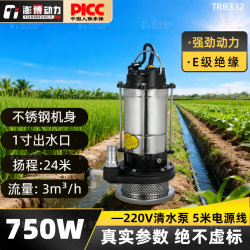 澎博动力 潜水泵 750W 220V 不锈钢 清水泵