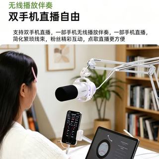 得胜 GX5 USB/XLR双接口 黑色 悬臂支架款 电容麦克风