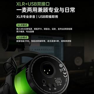 得胜 GX5 USB/XLR双接口 黑色 悬臂支架款 电容麦克风