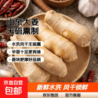 京喜 新鲜山东安丘大姜 水洗风干姜块 1斤净重