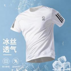 WHOLE EARTH 夏季26冰丝T男宽松短袖户外跑步T恤透气上衣男士健身运动服