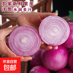 京喜 农家自种新鲜紫皮洋葱  1斤