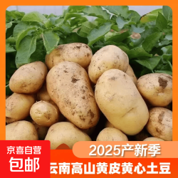 京喜 山东黄心土豆 小果*2斤