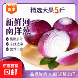 京喜 河南紫皮洋葱 带箱4斤装