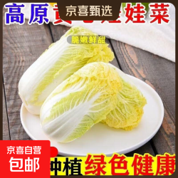 京喜 云南高山生态种植 新鲜娃娃菜  3颗装*1包