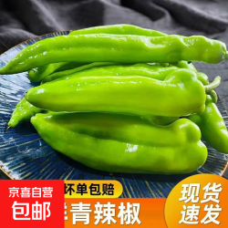 京喜 新鲜绿尖椒 5斤