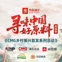 良品铺子 酸奶多肉桃桃88g×1袋+轻乳奶香芒果88g×1袋+轻乳奶香莓果88g×1袋