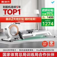 麦瑞克 Q1 磁阻划船机 MRSRM53163 白色 金属 专业款