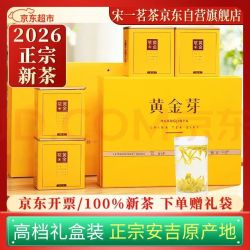 宋一 茶叶礼盒安吉白茶黄金芽绿茶特级2026新茶头采250g