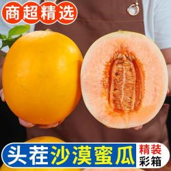 嵋岭林翔 山东 黄金蜜瓜黄河蜜 2.5斤