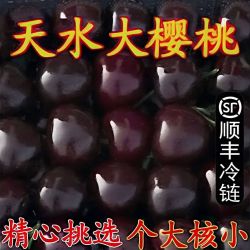 甘肃天水大樱桃国产车厘子新鲜水果孕妇水果现货