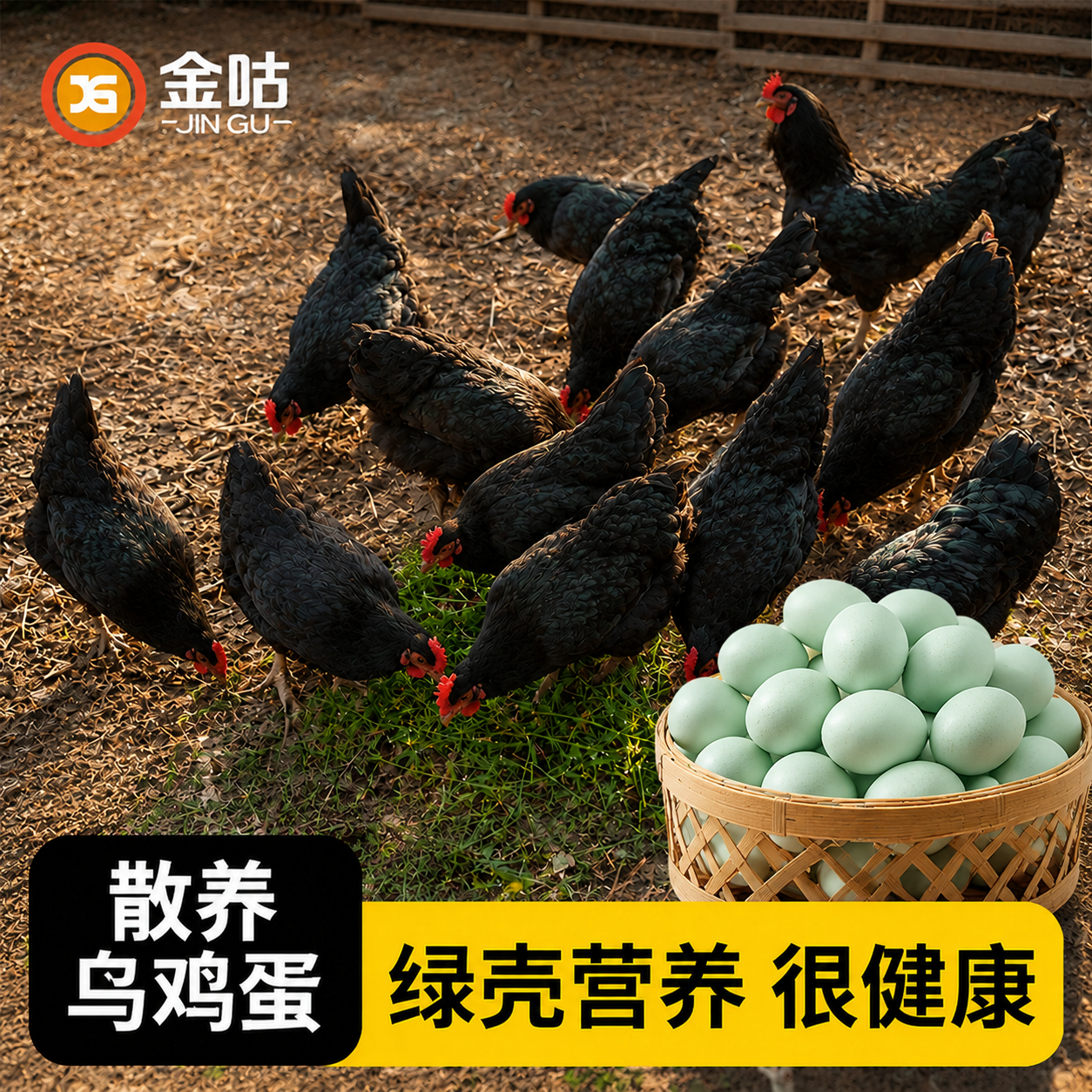 金咕 乌鸡蛋 绿壳 30枚 新鲜鸡蛋