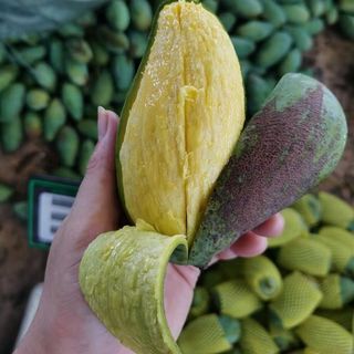 樱鲜 桂七芒果 4.25-4.5斤 当季新鲜水果