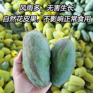 樱鲜 桂七芒果 4.25-4.5斤 当季新鲜水果