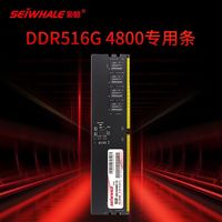 枭鲸 审判者 DDR5 4800MHz 台式机内存条