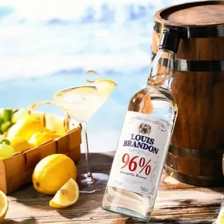 国家补贴：LOUIS BRANDON 伏特加 96度 700ML*1瓶