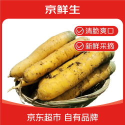 京鲜生 山东带泥黄胡萝卜 净重1.8斤 单果100g+ 新疆手抓饭辅料 源头直发