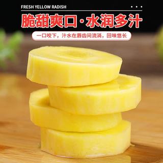 京鲜生 山东带泥黄胡萝卜 净重1.8斤 单果100g+ 根茎类蔬菜