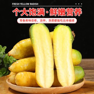 京鲜生 山东带泥黄胡萝卜 净重1.8斤 单果100g+ 根茎类蔬菜