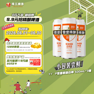 珠江啤酒 比利时风味 白啤酒  整箱装 1x3x500ml 500ml
