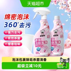 老管家 洁厕泡沫 强力除垢清洁杀菌除臭泡沫马桶清洁剂 1瓶