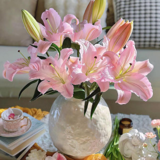 京东鲜花 百合鲜切花 20枝